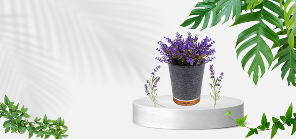 CHERISH™ Lavender Potted Aromatherapy Diffuser